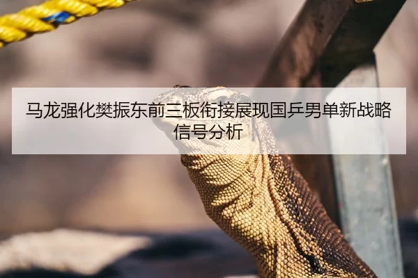 马龙强化樊振东前三板衔接展现国乒男单新战略信号分析