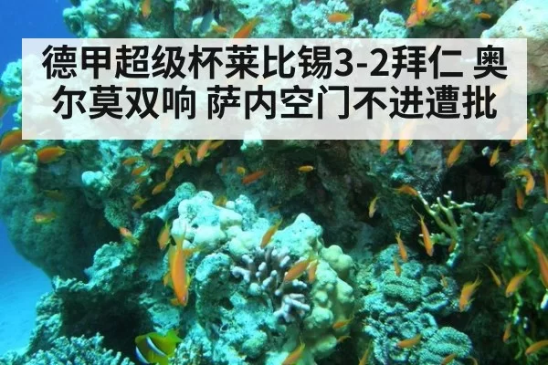 德甲超级杯莱比锡3-2拜仁 奥尔莫双响 萨内空门不进遭批