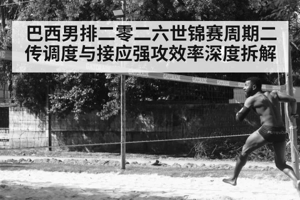 巴西男排二零二六世锦赛周期二传调度与接应强攻效率深度拆解